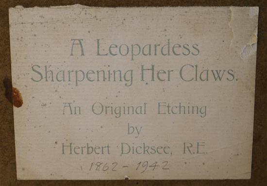 Herbert Dicksee (1862-1942) A leopardess sharpening her claws 20 x 13in.